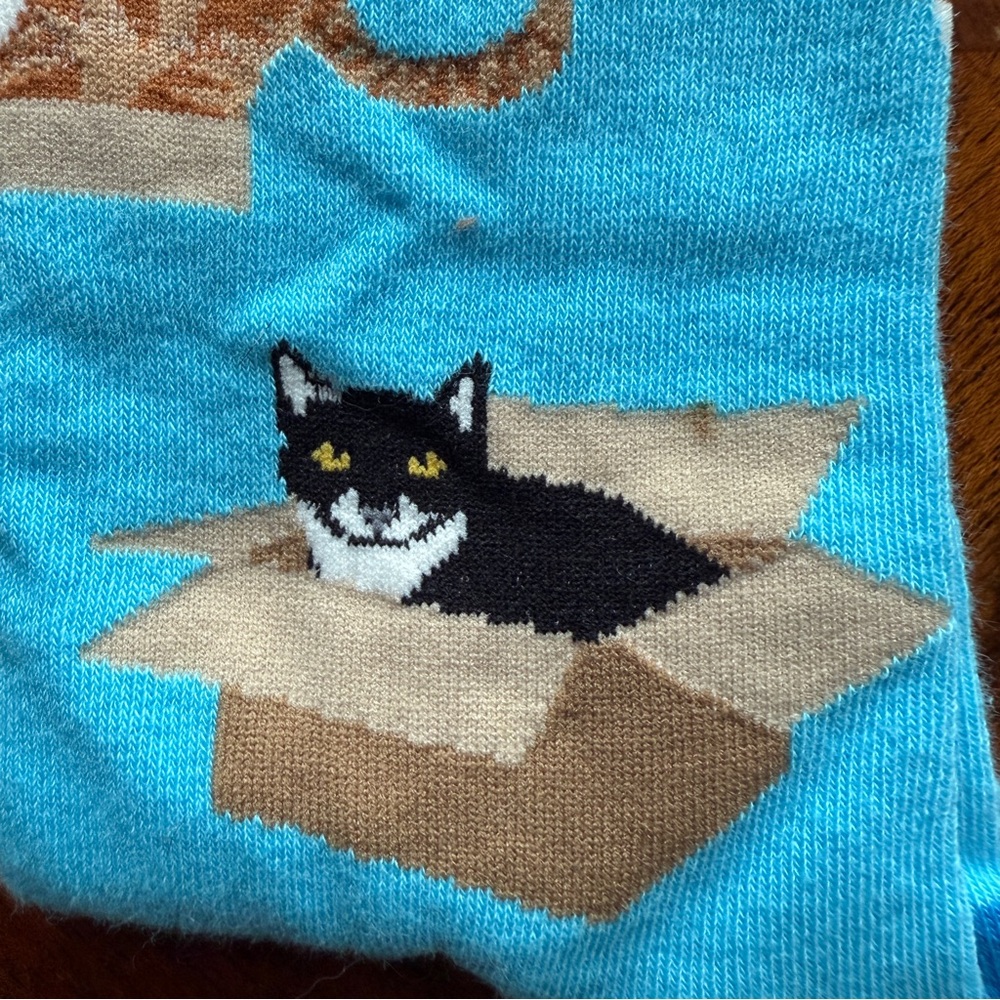 Socksmith Cat in Box Blue Socks - Picture 5 of 6
